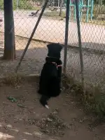 Parque público Ses Sorts - Bild 10