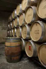 Jaume de Puntiró - Bild 3