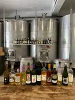 Jaume de Puntiró - Bild 9