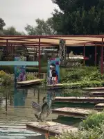 Sa Jardineria - Bild 8