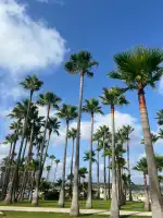 Bolzano Beach Club - Imagen 10