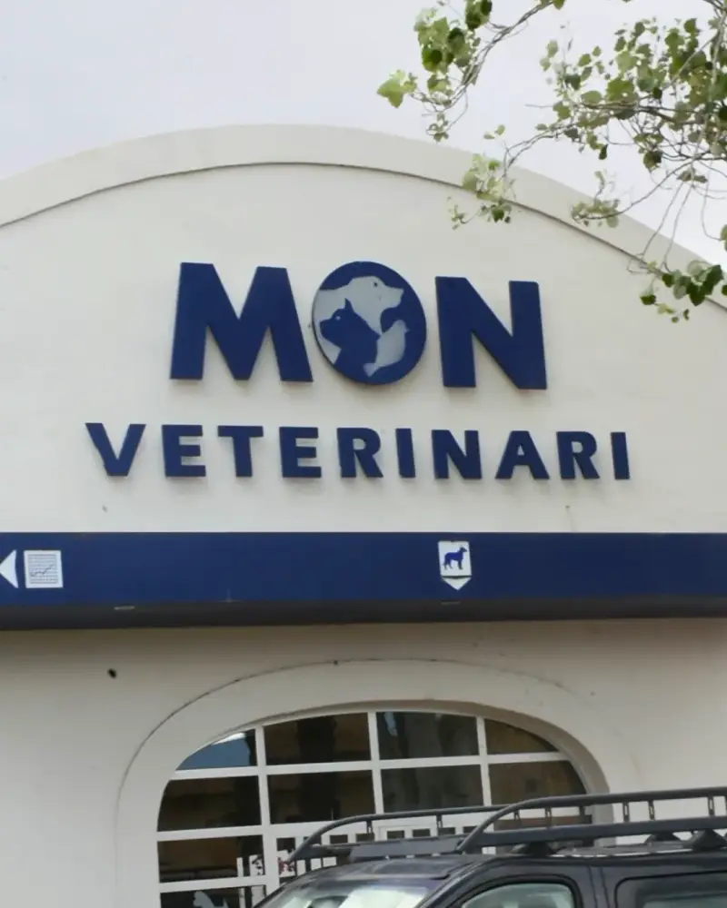 Món Veterinari - Bild 1