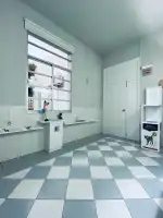 Món Veterinari - Bild 9