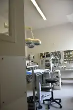 Món Veterinari - Bild 8