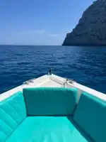 GOJET Private Boat Trips & Charter - Bild 8
