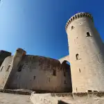 Bosc del Castell de Bellver Park - Imagen 9