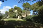 Bosc del Castell de Bellver Park - Imagen 7