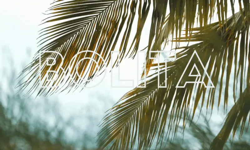 Bolita Events - Bild 1