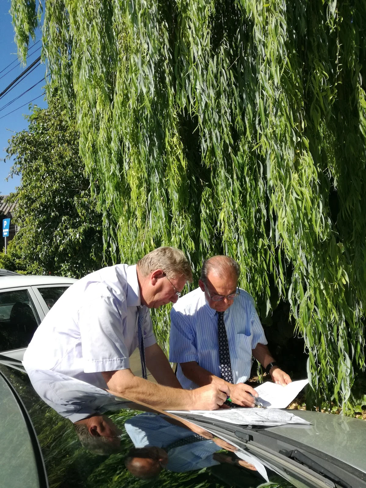 Viveros Pou Nou - Bild 10