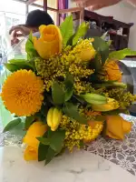 Viveros Pou Nou - Imagen 3