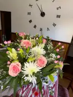 Viveros Pou Nou - Imagen 9