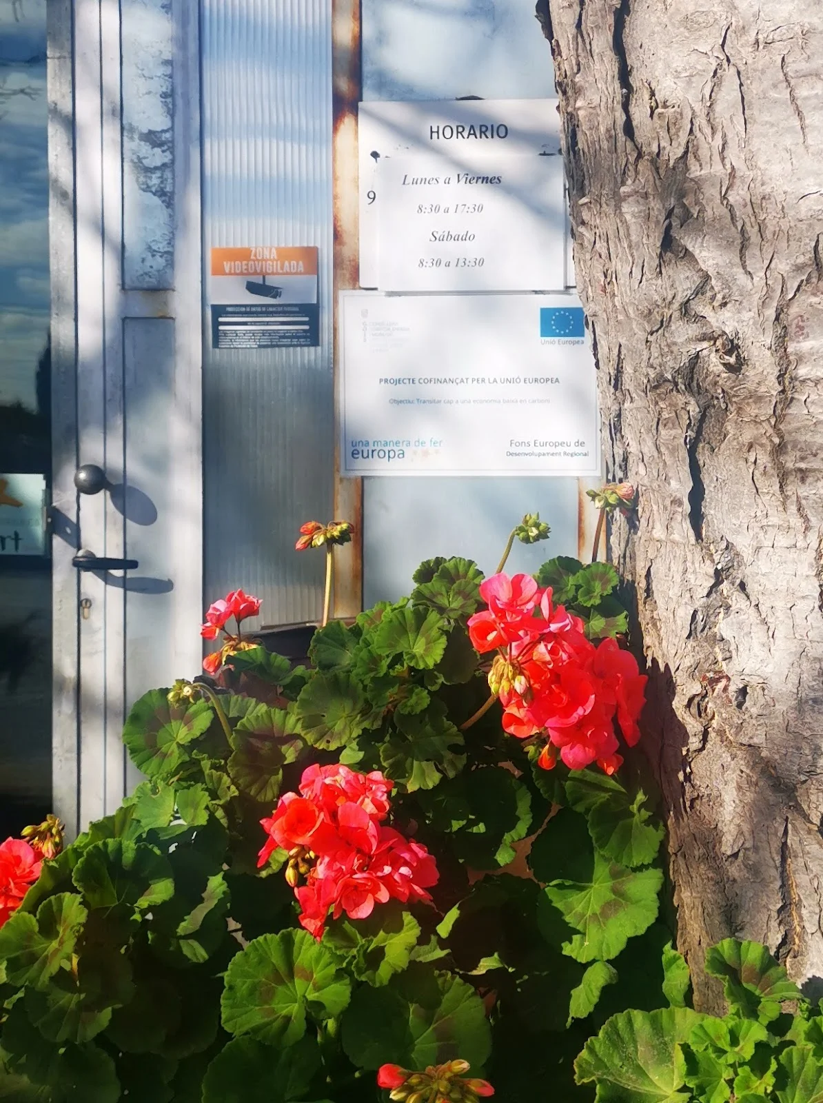 Viveros Pou Nou - Bild 6