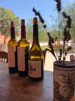 Ses Talaioles - Imagen 8