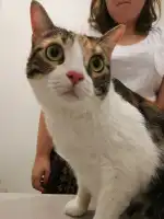 Clínica Veterinaria Arol | MiVet - Bild 5