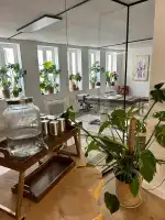 Olakino Quiropráctica - Bild 7