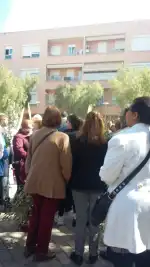 Santa María del Rosario - Bild 8