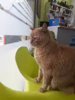 Clínica Veterinària Sant Marçal - Bild 10