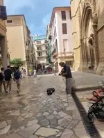 Welcome To Mallorca - Bild 5