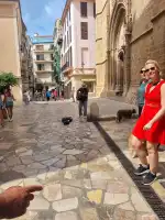 Welcome To Mallorca - Bild 5