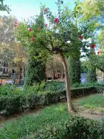 Tus Sentidos Mallorca - Bild 10