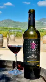 Celler Tianna Negre - Image 10