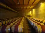 Celler Tianna Negre - Image 2