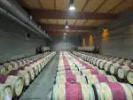 Celler Tianna Negre - Image 3