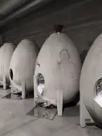 Celler Tianna Negre - Image 6