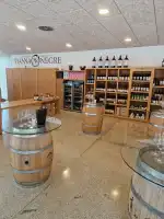 Celler Tianna Negre - Image 8