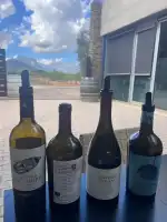 Celler Tianna Negre - Image 9