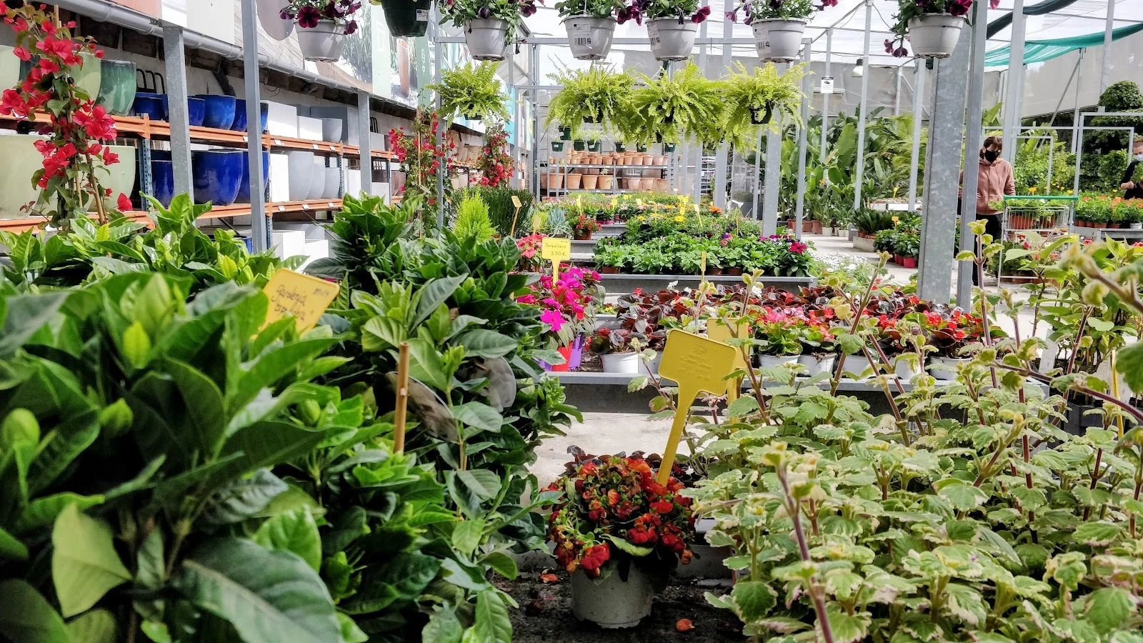 Jardineria Bisanyes - Bild 10