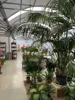 Jardineria Bisanyes - Imagen 6