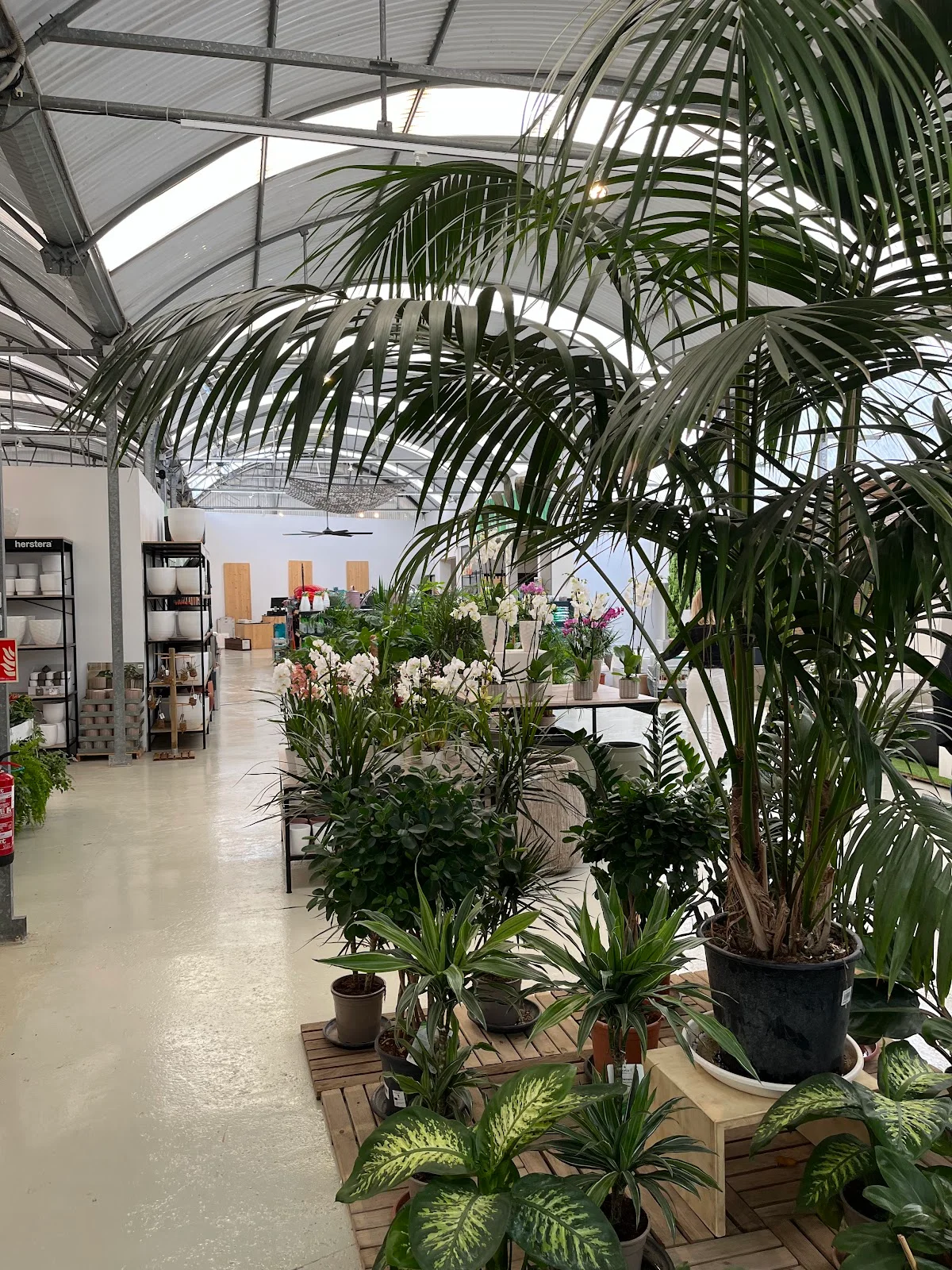 Jardineria Bisanyes - Bild 6