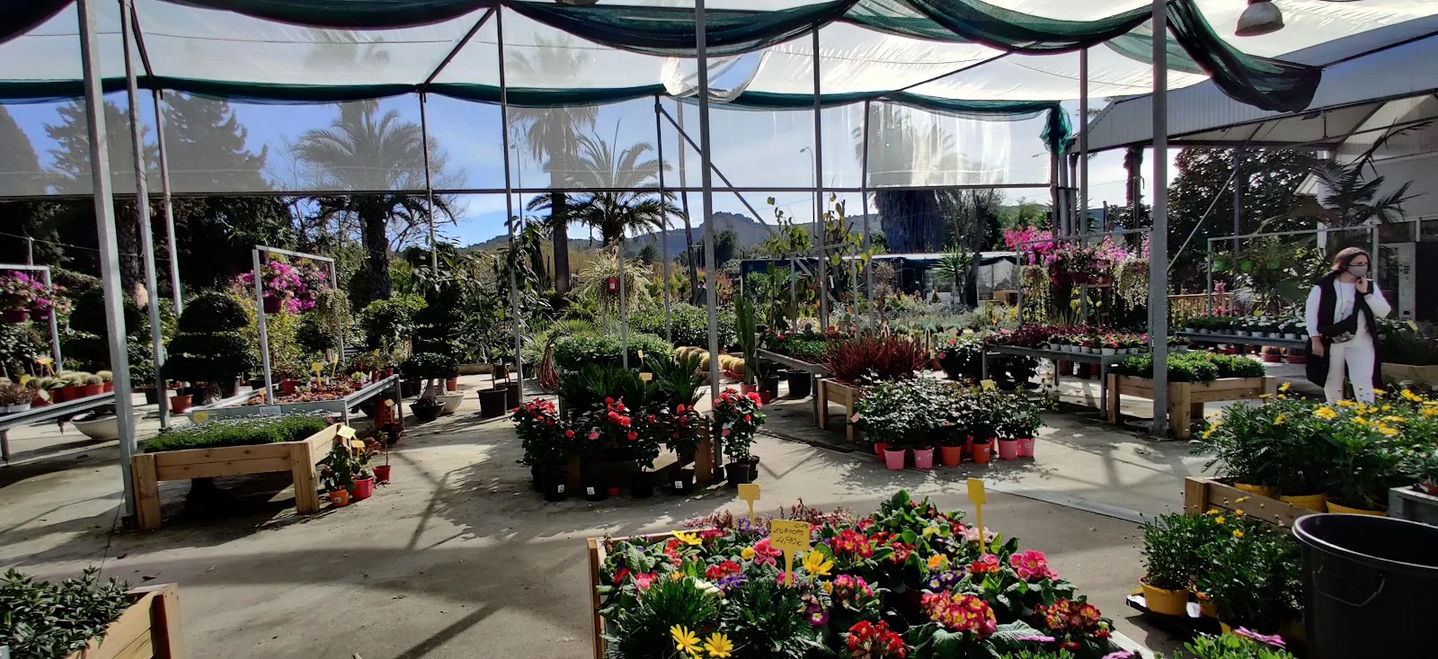 Jardineria Bisanyes - Bild 7