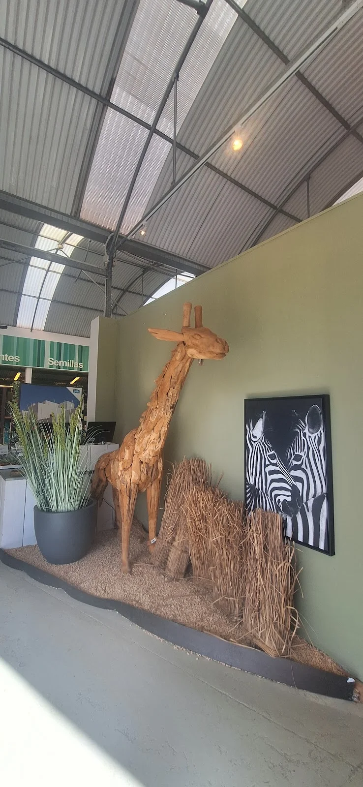 Jardineria Bisanyes - Bild 9