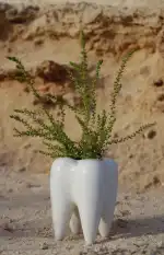 Clínica Dental Odident - Bild 10