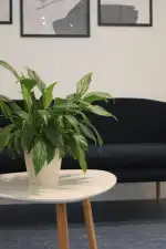 Clínica Dental Odident - Bild 8