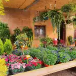 Centre de Jardineria Santanyí