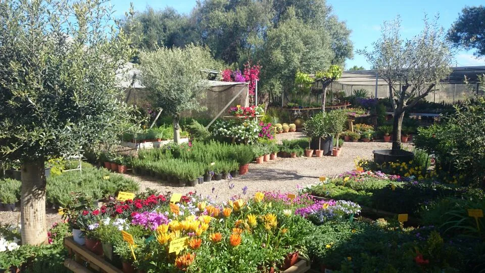 Centre de Jardineria Santanyí - Bild 6