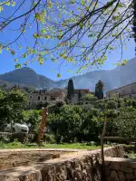 Famosa Samosa - Bild 10