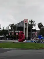 Banana Club Mallorca - Imagen 7