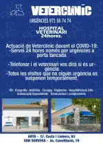 Veterclínic ARTÀ - Bild 6