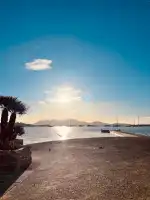 Platja del Port de Pollensa - Bild 3