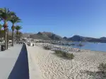 Platja del Port de Pollensa - Bild 9