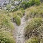 Cala Figuera - Bild 9