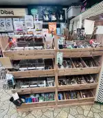 THE ANIMAL WORLD - Bild 9