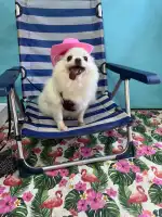 THE ANIMAL WORLD - Bild 3