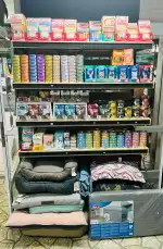 THE ANIMAL WORLD - Bild 6