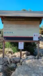 Zona d'acampada Es Pixarells IBANAT - Image 6