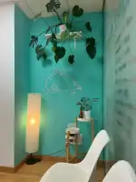 León Monzón Quiropràctic - Bild 9